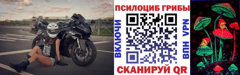 Псилоцибиновые грибы Cubensis  Рассказово 