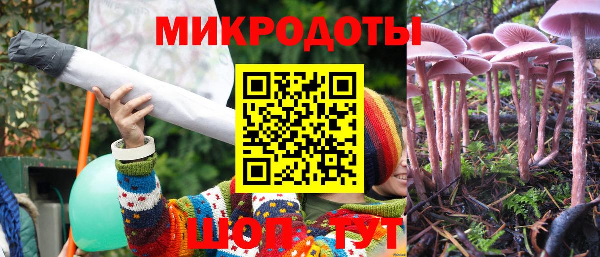 Галлюциногенные грибы мухоморы Рассказово