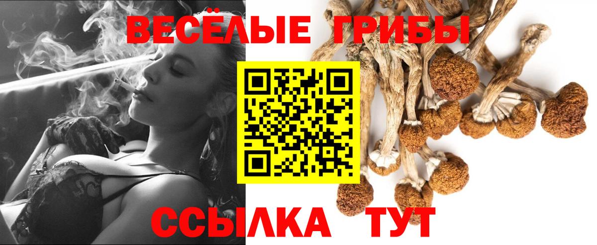 Рассказово  Псилоцибиновые грибы Psilocybe  Галлюциногенные грибы мицелий  Вход с VPN 