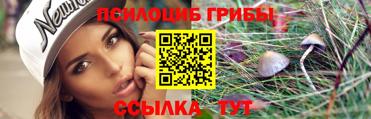 Псилоцибиновые грибы GOLDEN TEACHER Рассказово